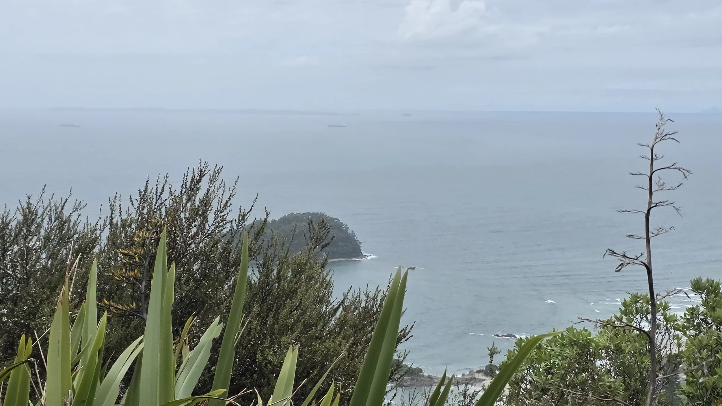 Coastal landscape with a distant small island, trees, and foliage in the foreground, cloudy sky, and ships visible on the horizon.