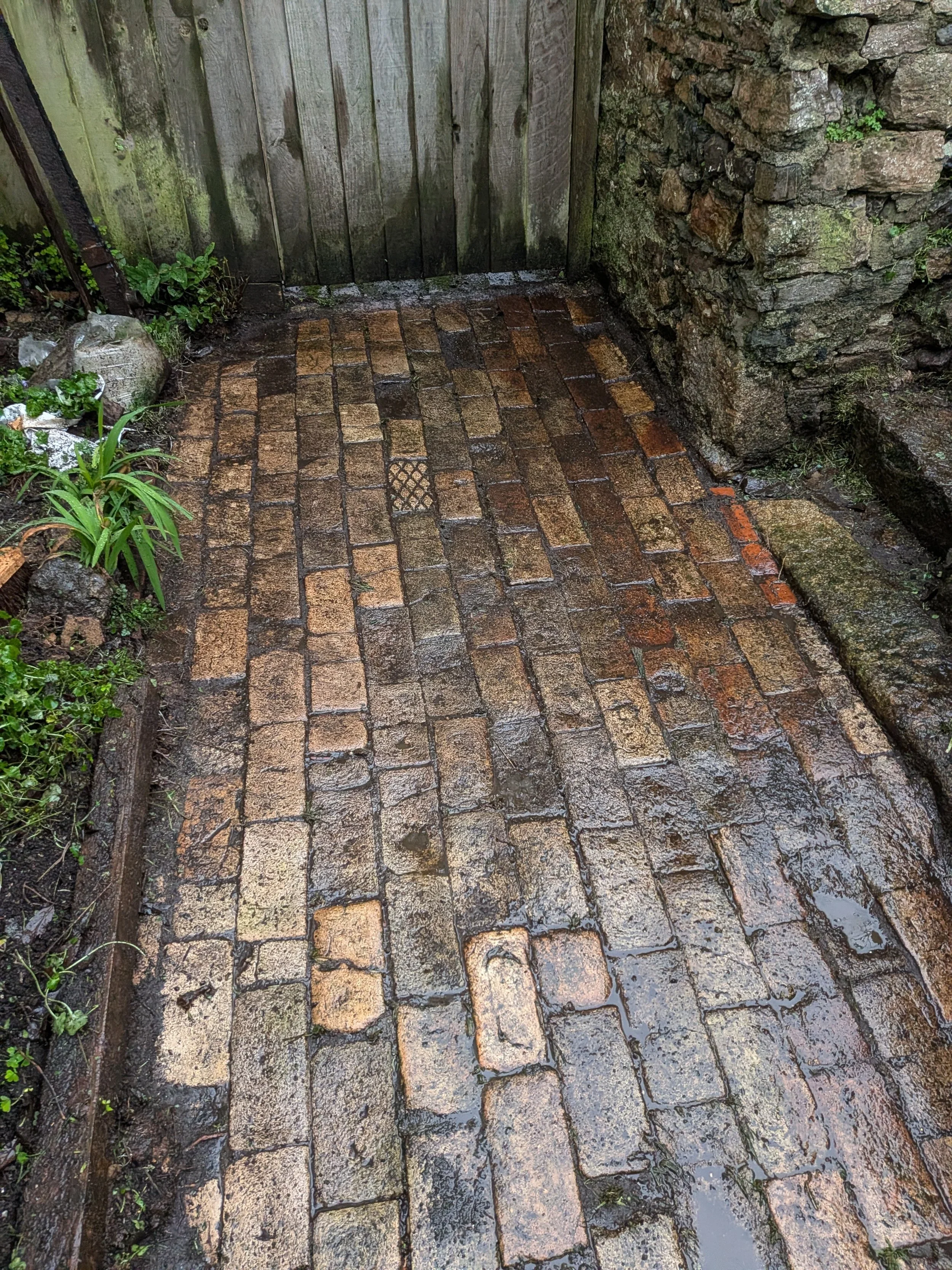 Reclaiming the Lovely Courtyard Path