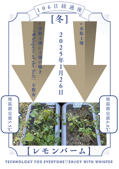 Whispers of the Soil 有用微生物ブレンド 実証評価05.png