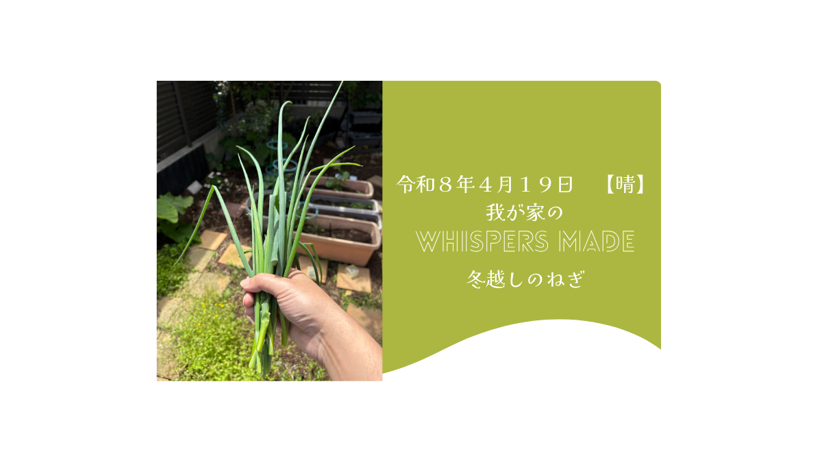 土と暮らす贅沢。冬を越えた「Whispers」のネギが届ける小さな幸せ。