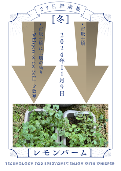 Whispers of the Soil 有用微生物ブレンド 実証評価04.png