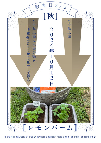 Whispers of the Soil 有用微生物ブレンド 実証評価03.png