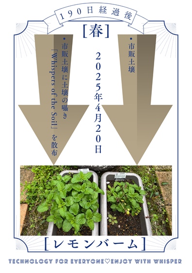 Whispers of the Soil 有用微生物ブレンド 実証評価06.png