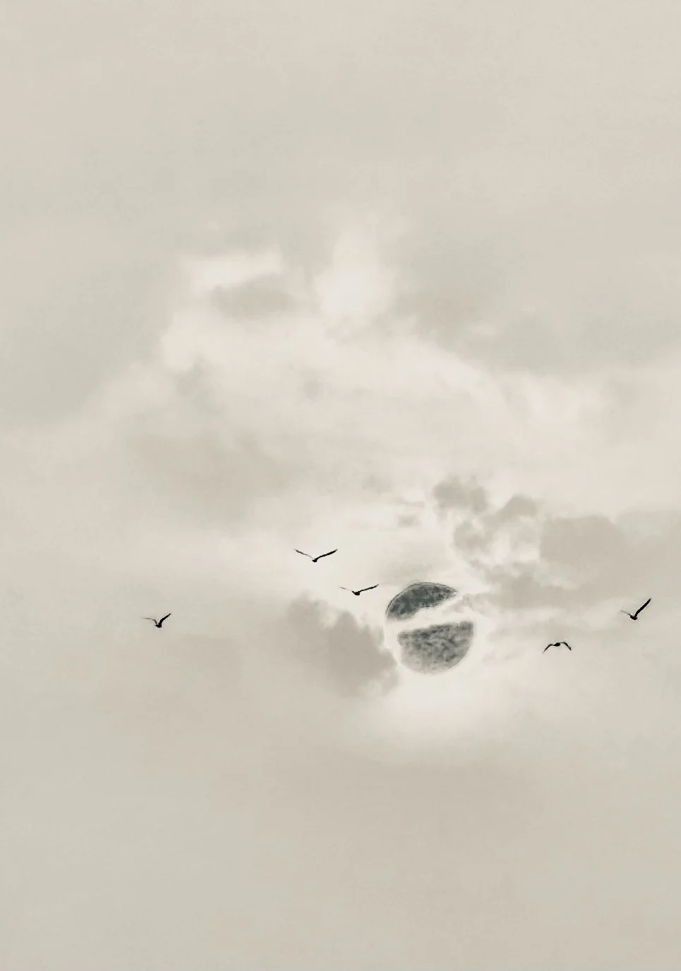 Un ciel nuageux avec le soleil partiellement caché par les nuages, des oiseaux volant dans le ciel.