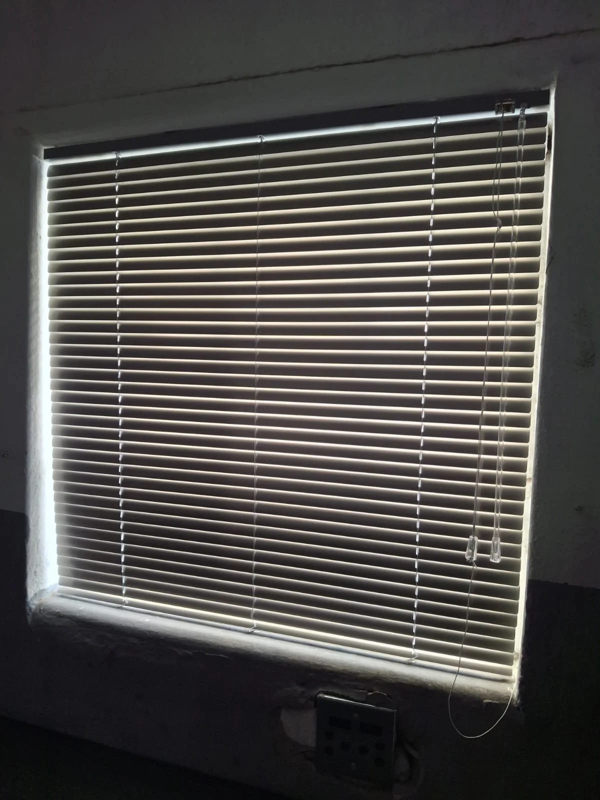 WhatsApp Image 2026-02-11 at 11.40.47.jpeg