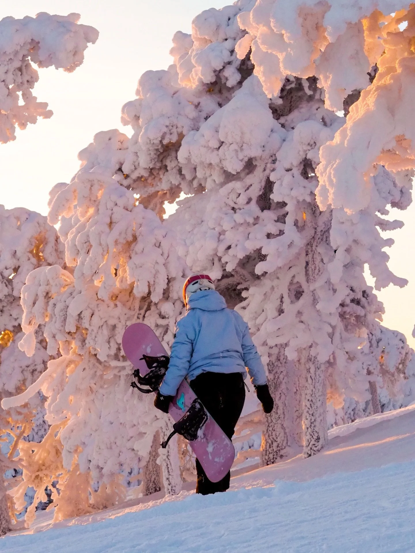 Postikortti Rukalta🏂❄️

T&auml;&auml;ll&auml; vietetty pakkasp&auml;iv&auml; rinteess&auml; nauttien samalla auringosta. Jotenkin kiva, kun ei oo sesonki niin rinteet ei oo ihan t&auml;ynn&auml;🥹
.
.
#rukakuusamo #hyvinvointi #ruka