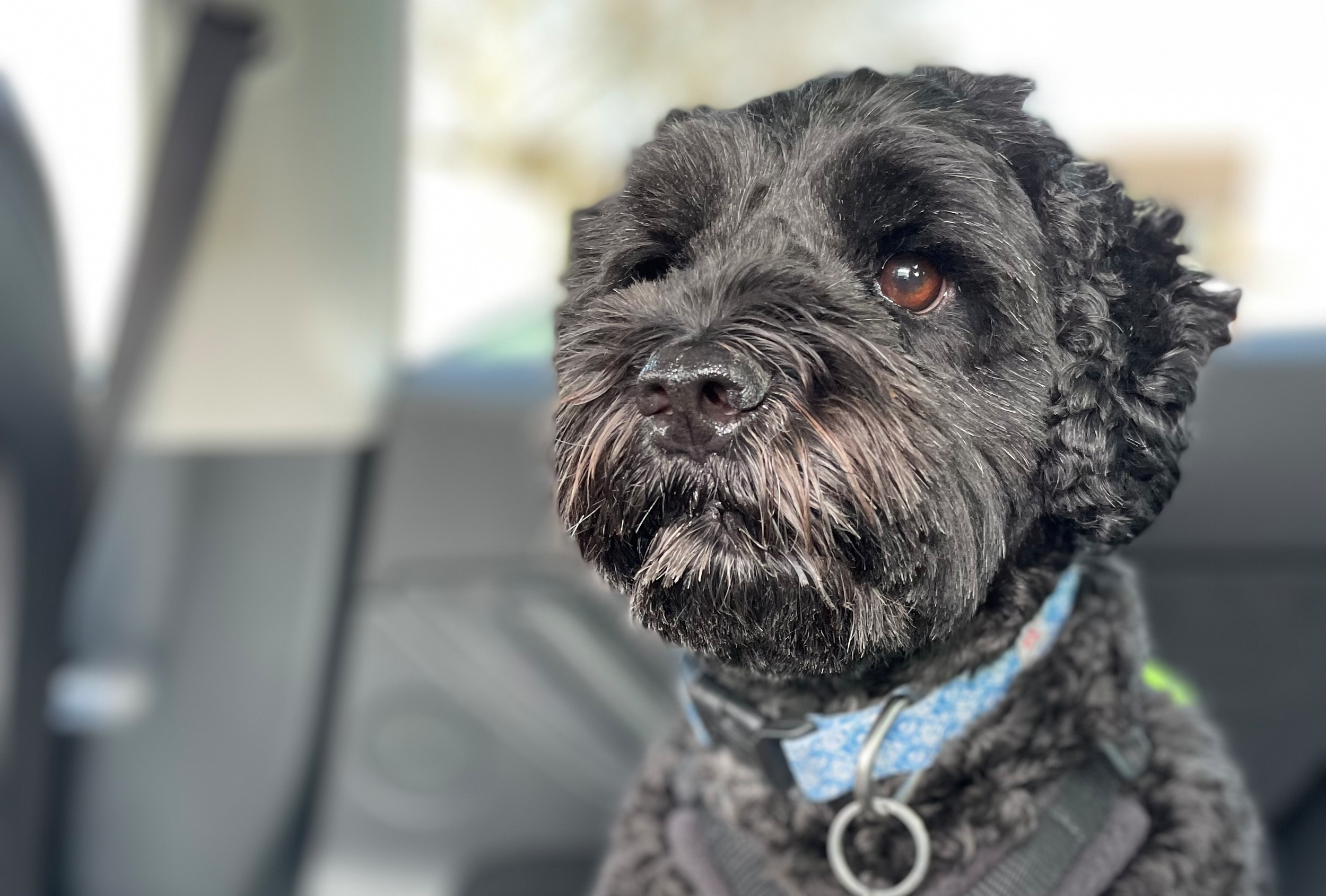 How much input should you have when you outsource your social media?