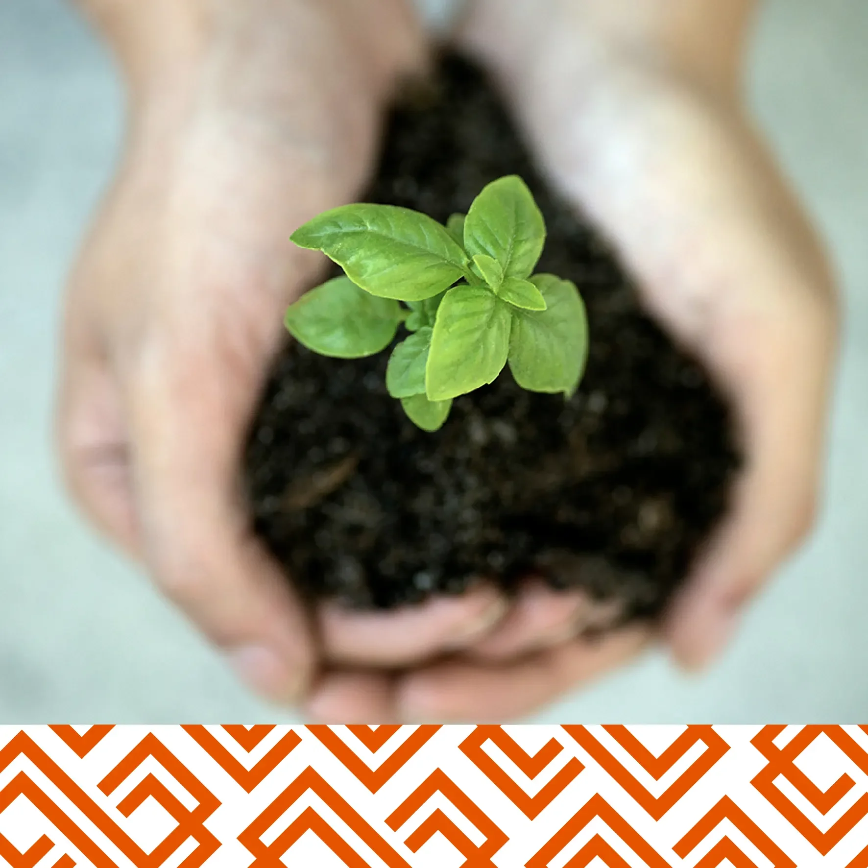 How do you care for your clients?