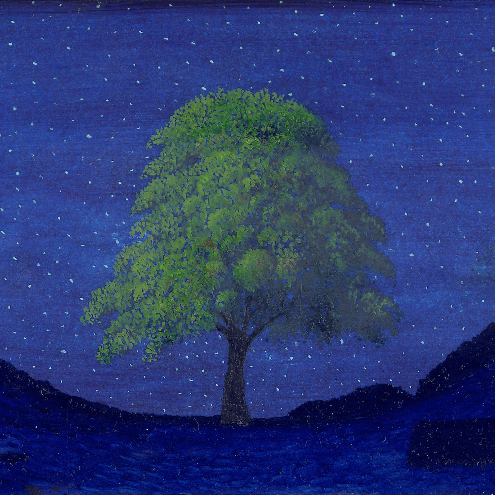 Sycamore Gap Starry Night
