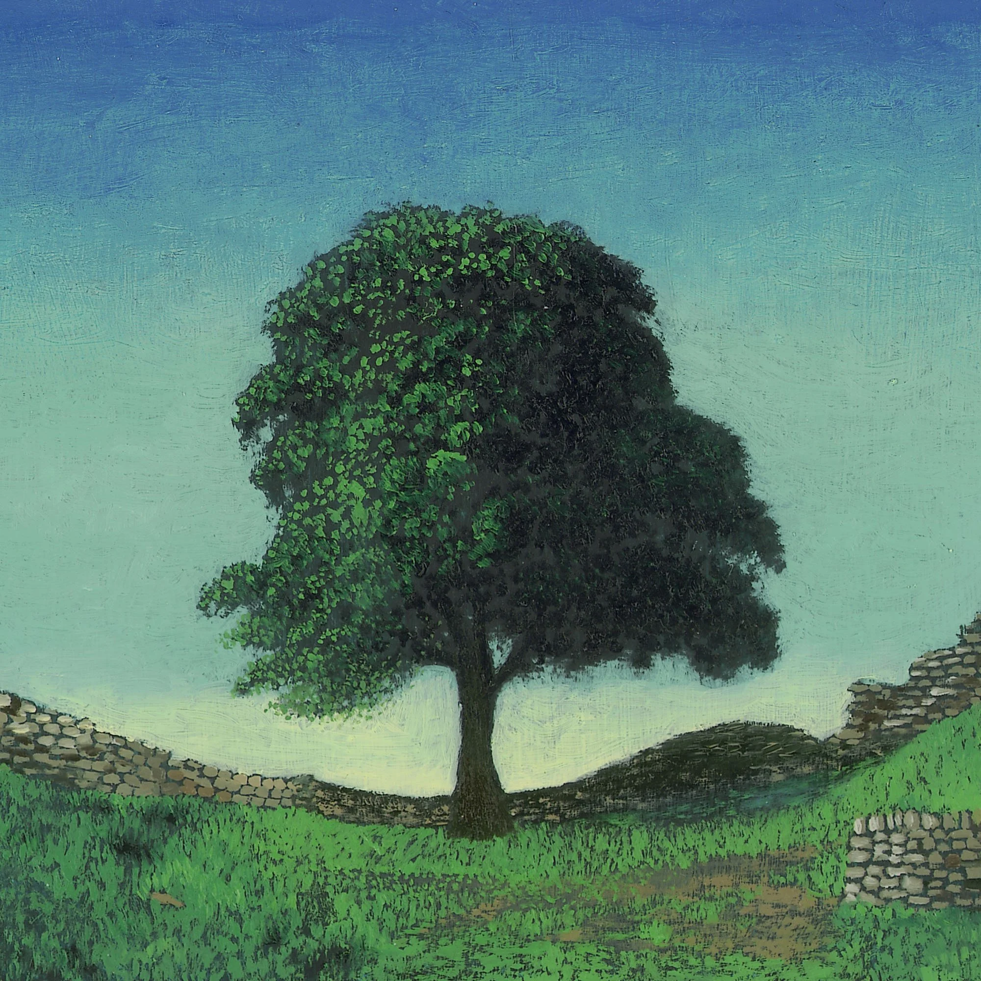 Sycamore Gap