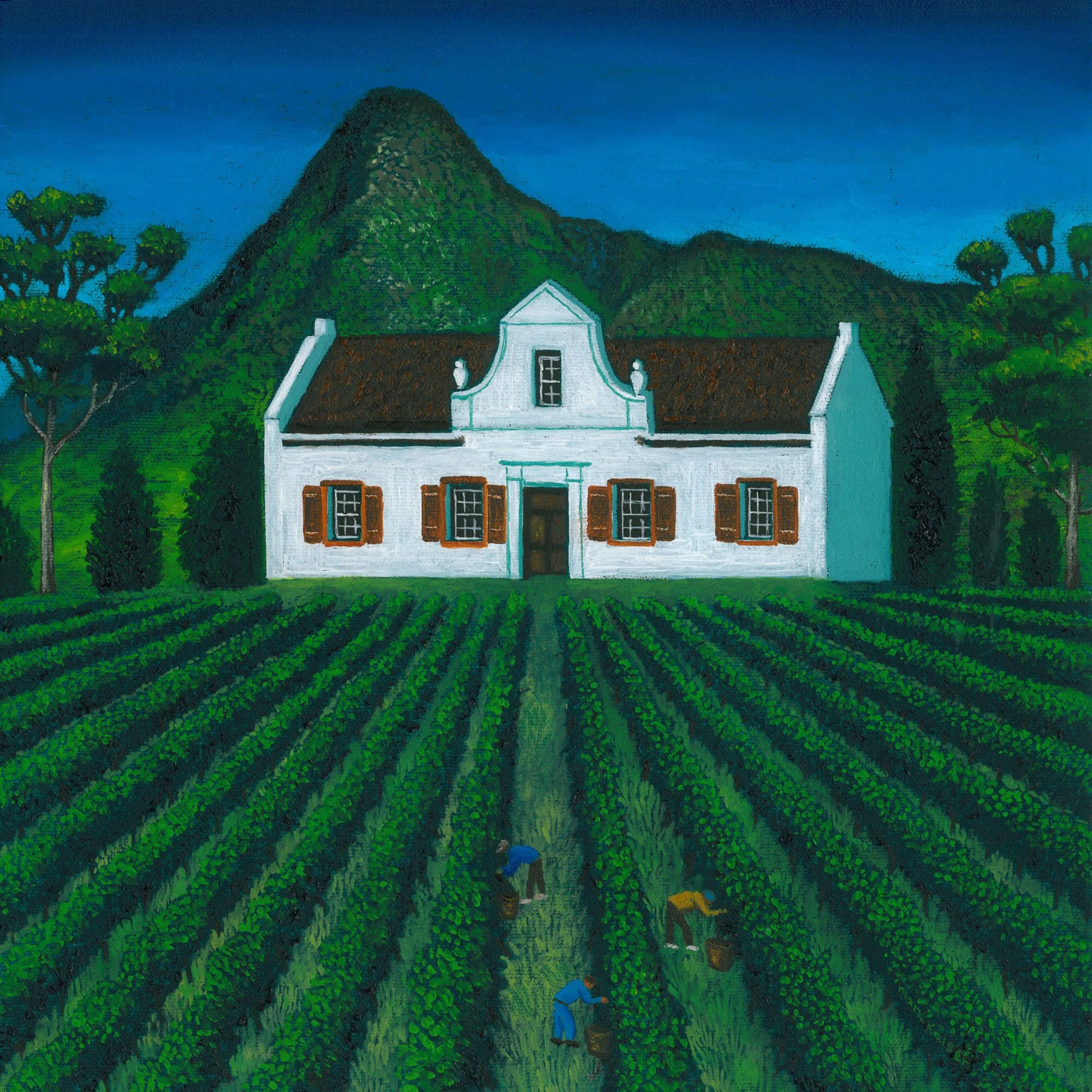 Seven Springs Vineyard