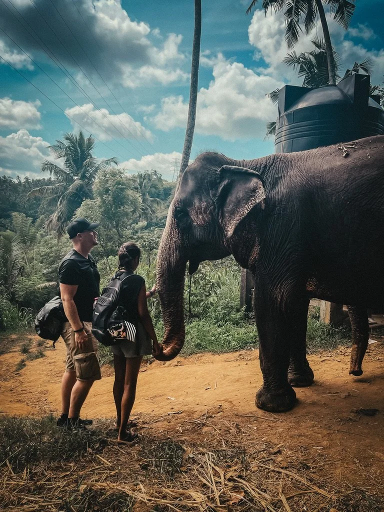 A man and a girl in backpacks hold hands while standing in front of an elephant in a rural, tropical area with palm trees and a cloudy sky.