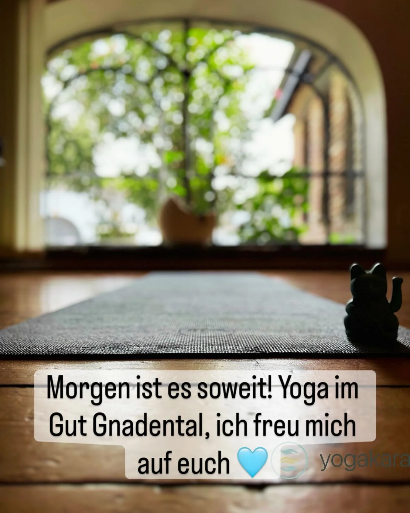 Ihr Lieben, morgen weihen wir den sch&ouml;nen Raum Erftaue im Gut Gnadental mit der ersten Yogastunde ein - das wird etwas ganz besonderes u ich freue mich sehr auf dich! Du kannst um 8h, 10h oder auch um 17h oder 18.45h mit mir Yoga praktizieren. D