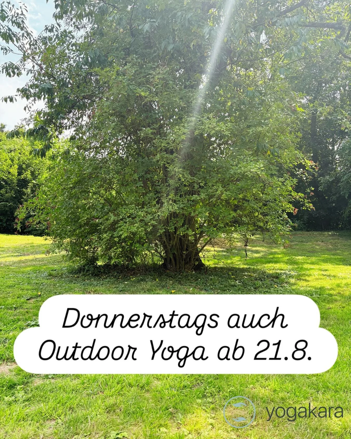 Rolle deine Matte auf der gr&uuml;nen Wiese vor dem Gut Gnadental aus und &hellip; atme 🌳 Ich freu mich auf dich 🌻