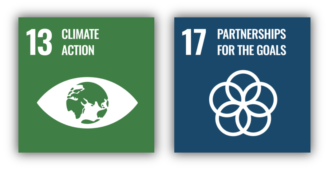 Icons representing Sustainable Development Goals, with Goal 13 on climate action and Goal 17 on partnerships for the goals.