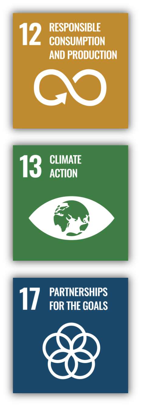 Three icons representing United Nations Sustainable Development Goals: Responsible Consumption and Production, Climate Action, and Partnerships for the Goals.