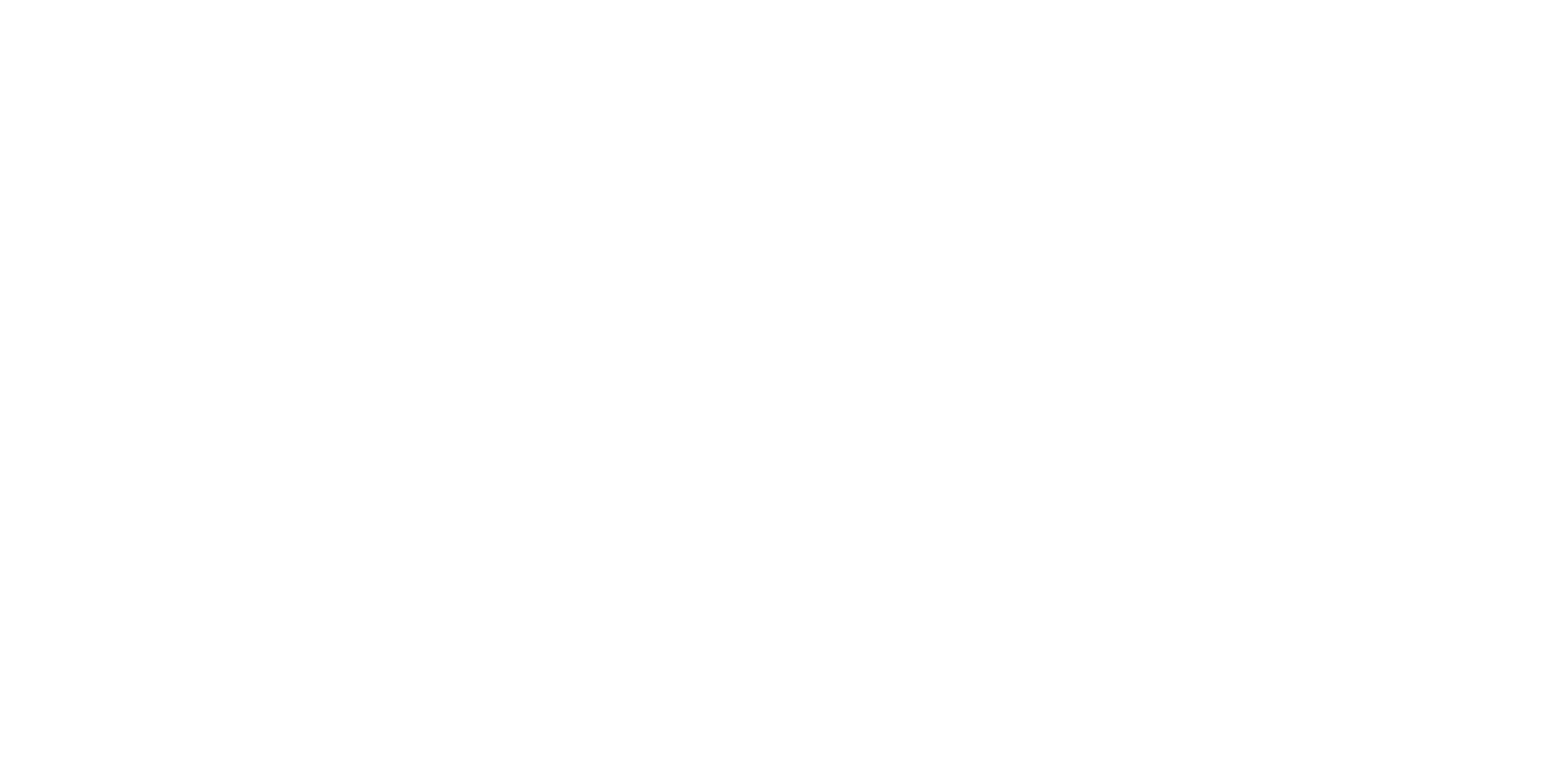 BuildingPoint_Scandinavia_Logo_hvit.png