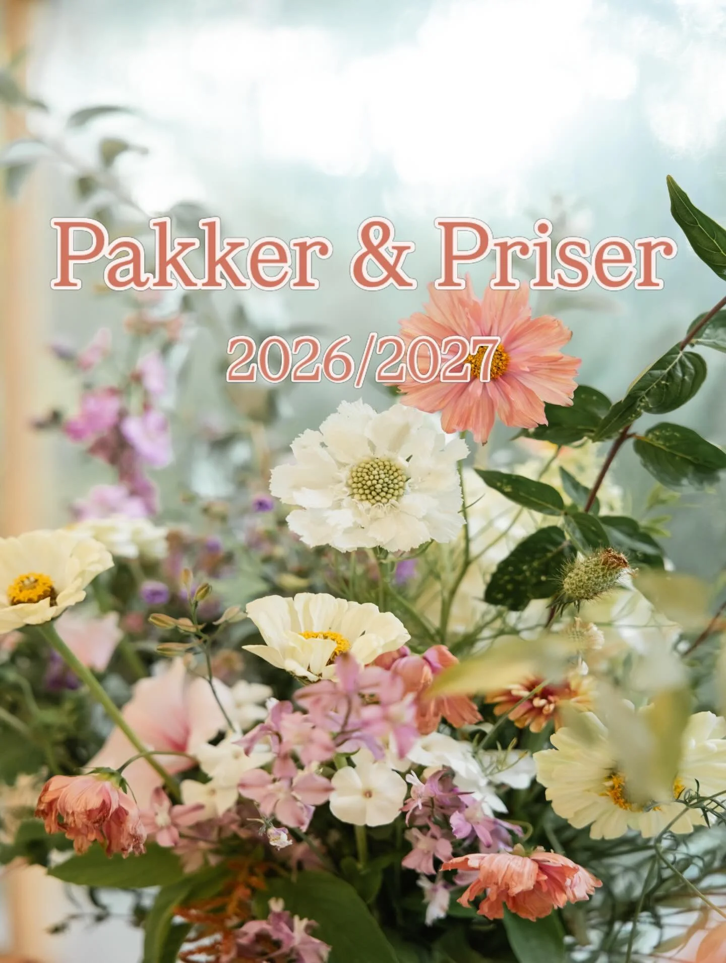 Pakker &amp; Priser for booking 2026/27 ✨

Inkludert i alle pakkene er:

&bull; Planleggingsm&oslash;te
&bull; Sneak peeks innen 24t
&bull; Et ubegrenset antall bilder i et pent webgalleri, klare til deling! 🎀

I tillegg full tilgang til &aring; sti