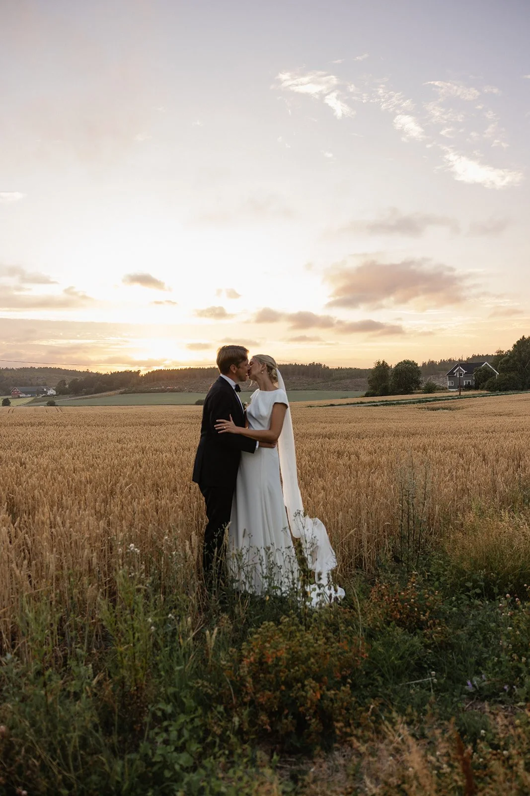 Et brudepar kysser i en åker med gult korn under en solnedgang.