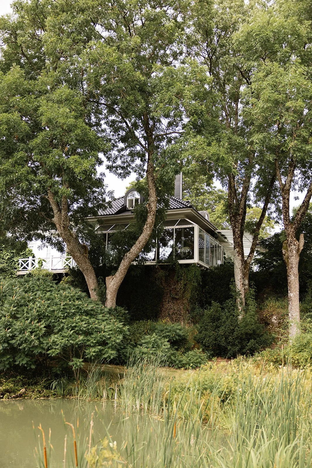 Hus på en høyde omgitt av trær, med en dam i forgrunnen.