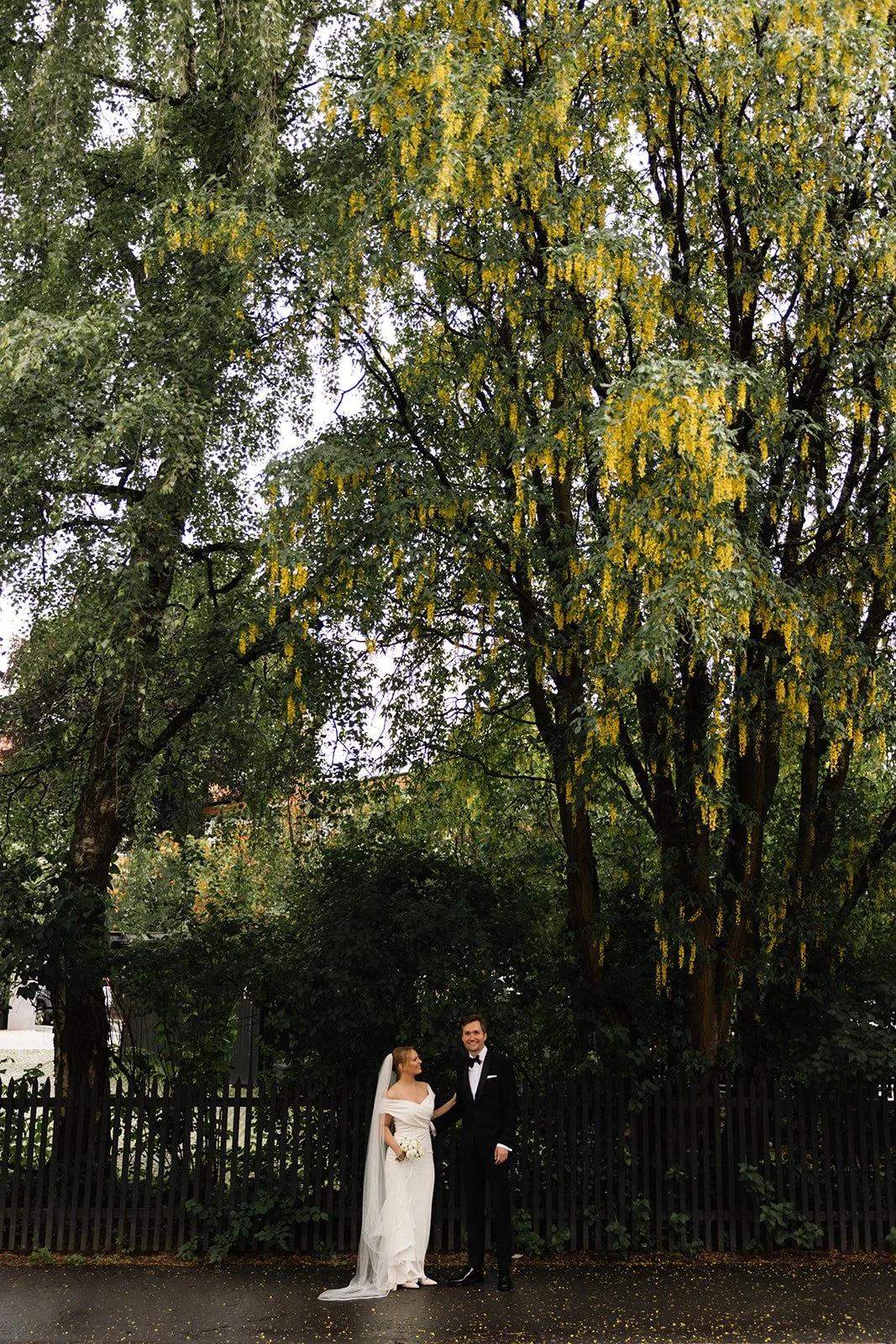 Et bryllupsbilde av en brud og brudgom som står under et stort tre med grønne blader og gule blomster, foran en svart gjerde og en grå gate.