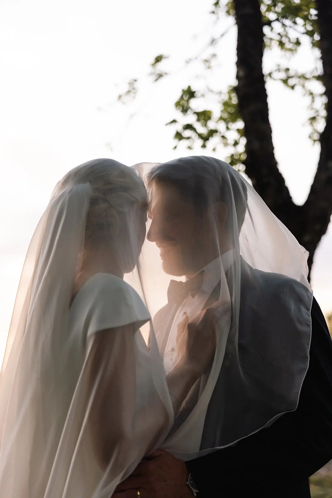 Et bryllupsportrett av et par under en tre, med silhuetter av dem som nesten smelter sammen under brudesløret.
