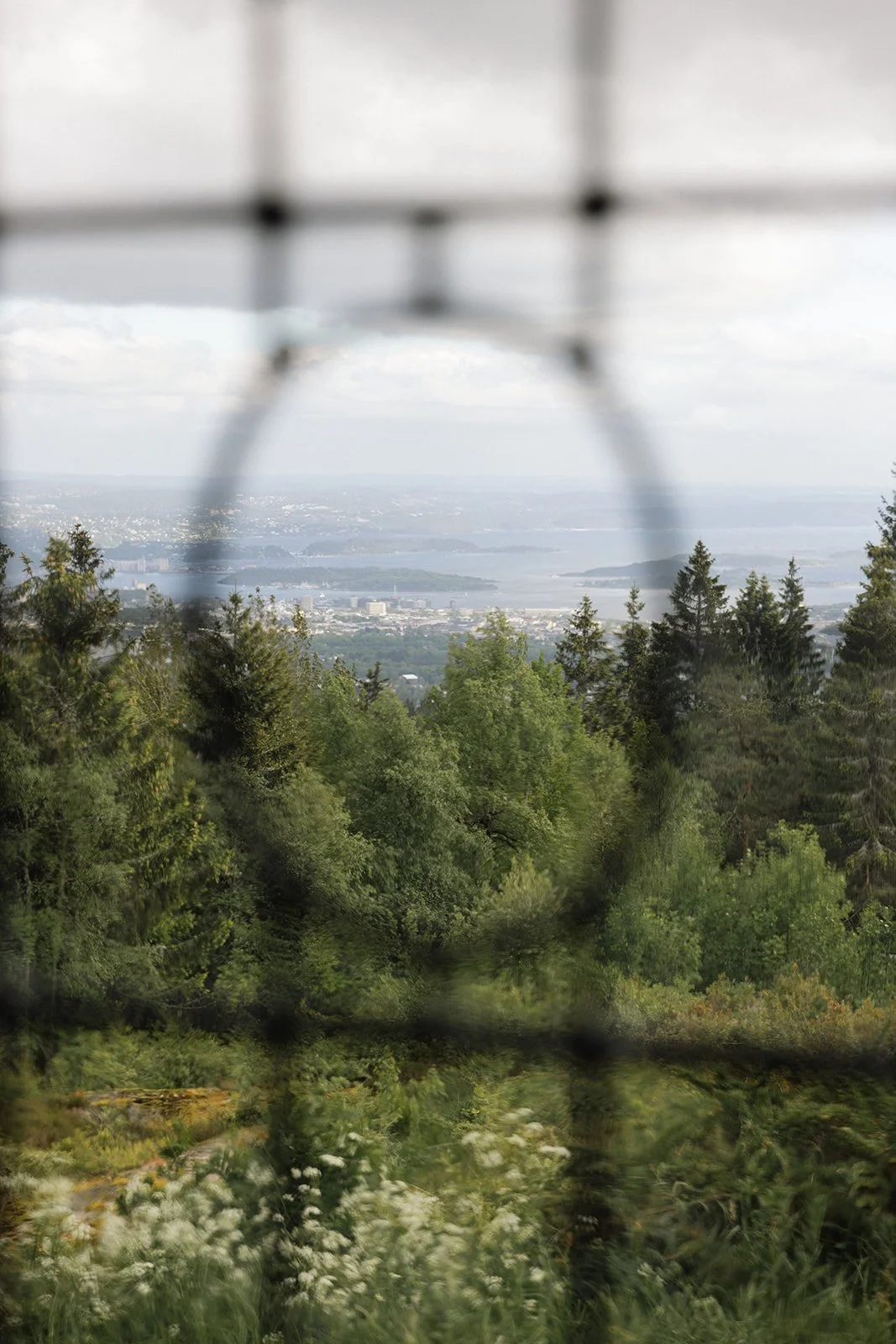 Utsikt over en skog med trær og blomster, sett gjennom et vindu, med en by og vann i bakgrunnen.