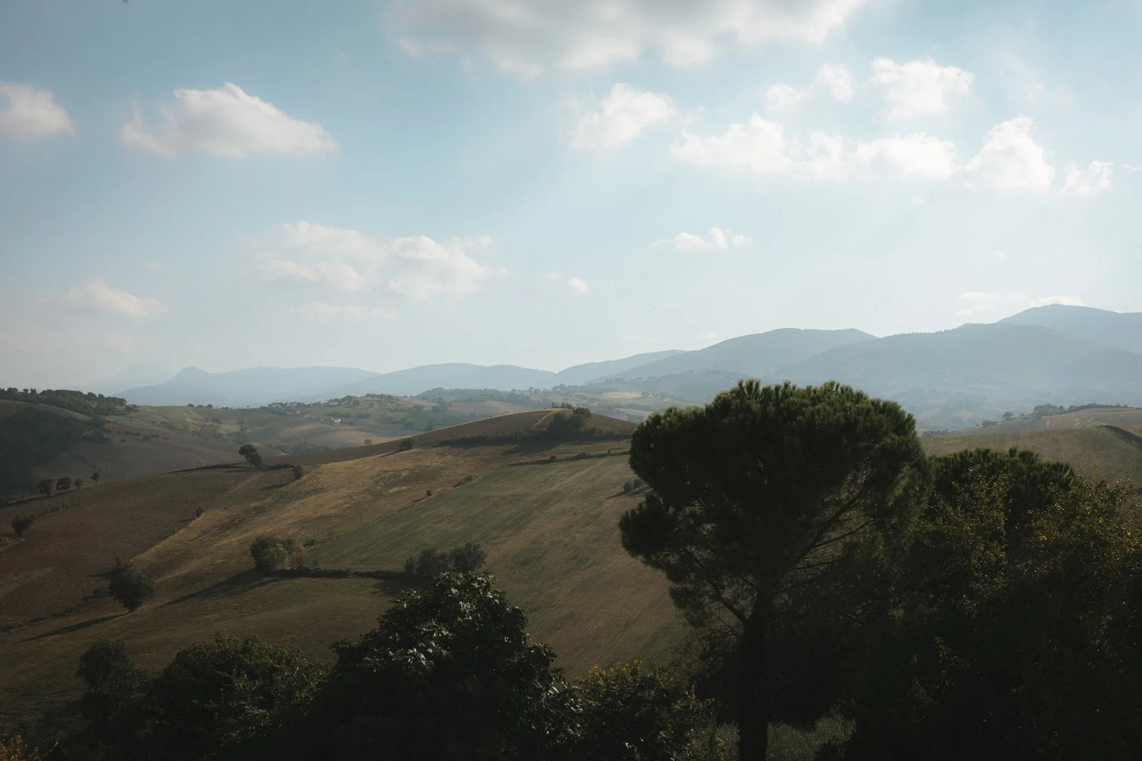 Professional destination wedding celebrant in Italy, every moment is carefully curated, emotional, and unforgettable. Independent celebrants Paola Orazi helps American and Australian couples craft bespoke ceremonies that reflect their love story 