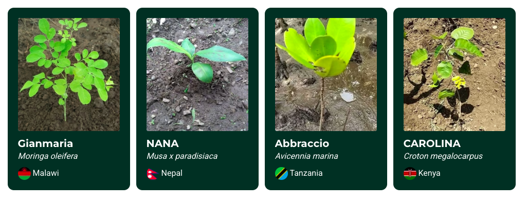 Let your ceremony capture the essence of Italy — its flavour, its beauty and its joy — creating a wedding experience that feels like a perfect blend of personal storytelling and sensory celebration.