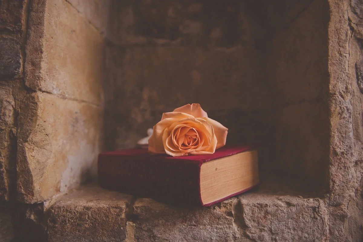 A pink rose placed on top of a closed, red hardcover book in a brick alcove.