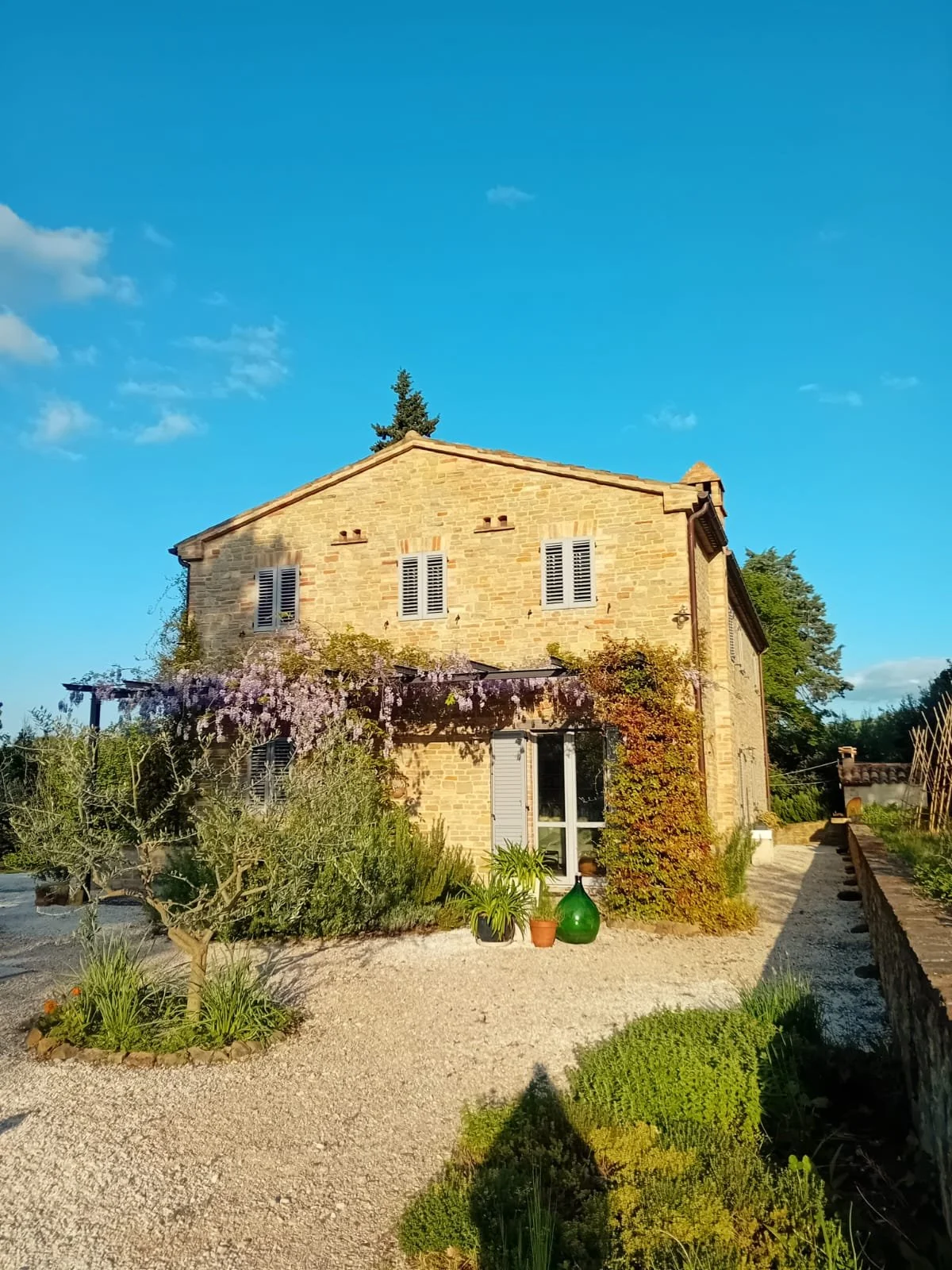 Your Italian wedding should be as exceptional as your love story. With my guidance, your symbolic ceremony in Italy becomes an unforgettable experience, perfectly suited for you and your guests.