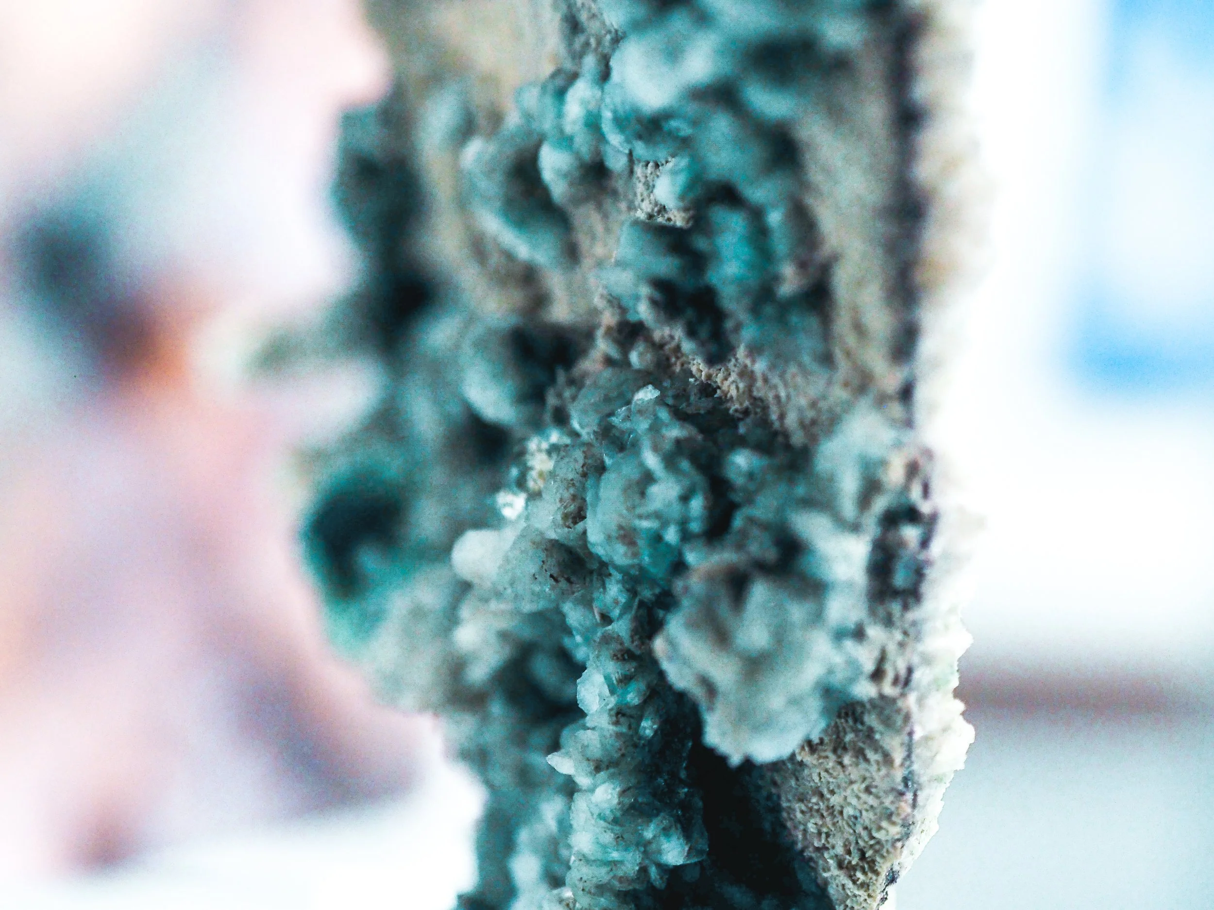 Pohjolan Tietäjänaiset-073.jpg