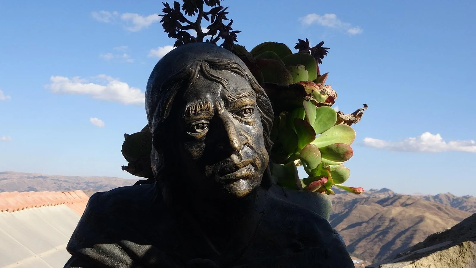 WhatsApp Image 2026-02-03 at 11.25.32 (1).jpeg