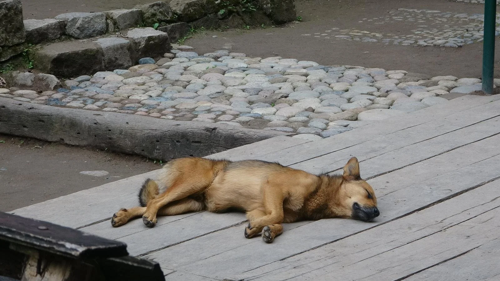 WhatsApp Image 2026-02-03 at 11.25.33 (3).jpeg