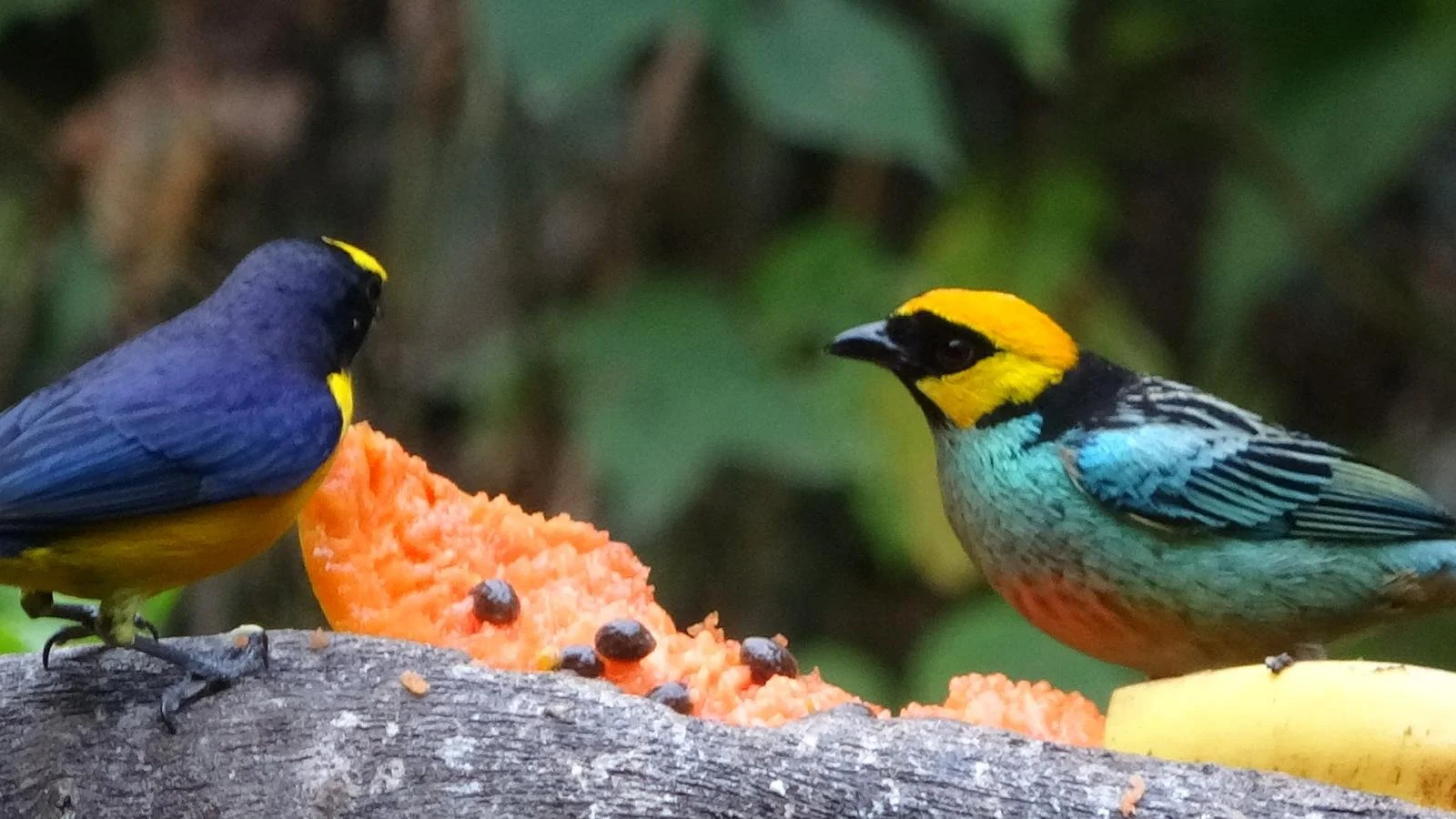 WhatsApp Image 2026-02-03 at 11.25.33 (5).jpeg