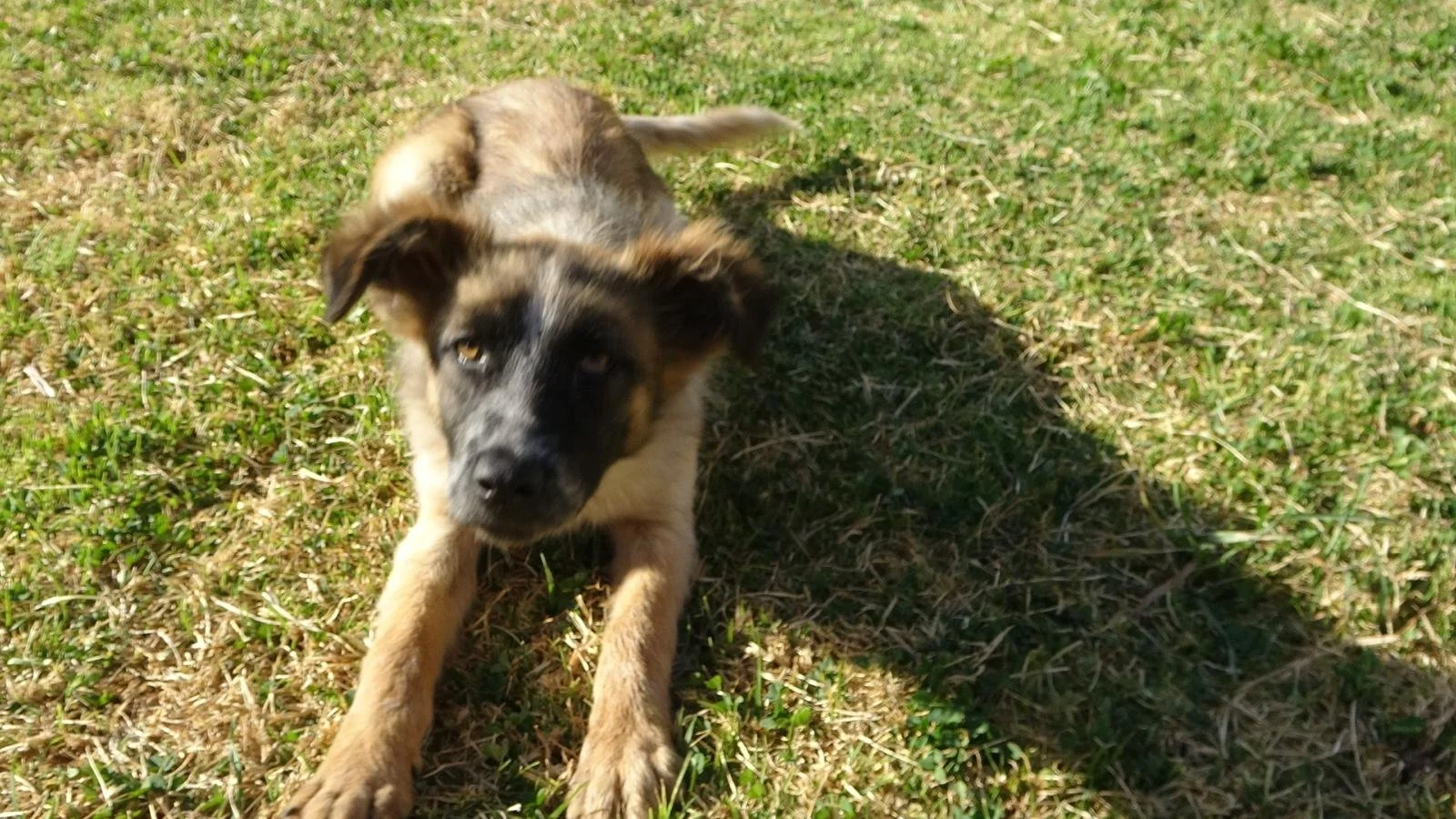 WhatsApp Image 2026-02-03 at 11.25.33 (1).jpeg