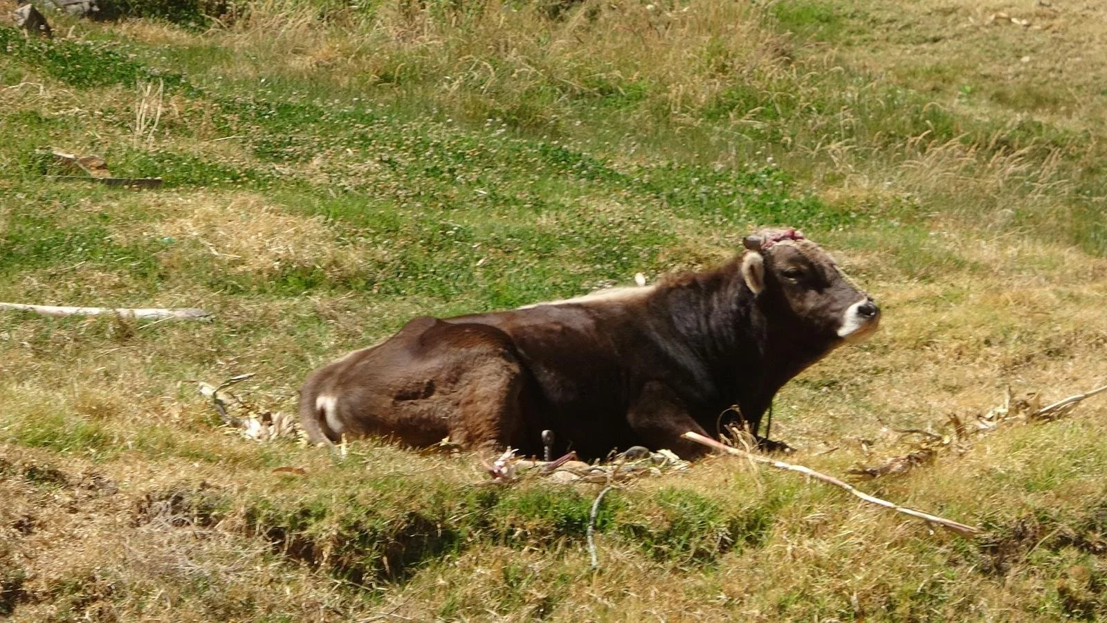 WhatsApp Image 2026-02-03 at 11.25.33 (6).jpeg