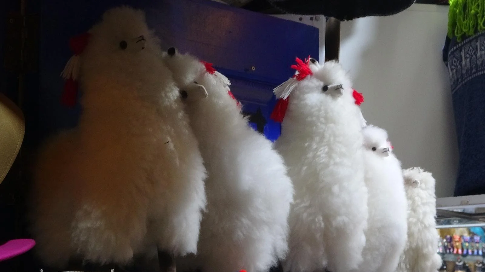 WhatsApp Image 2026-02-03 at 11.25.32 (3).jpeg