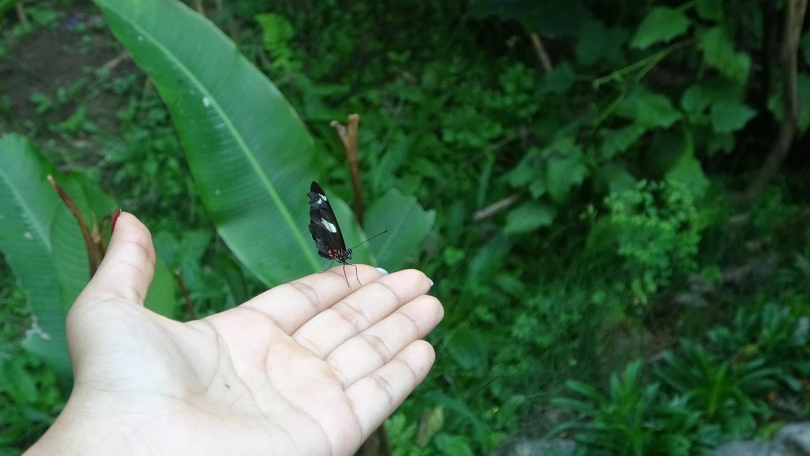 WhatsApp Image 2026-02-03 at 11.25.33 (4).jpeg