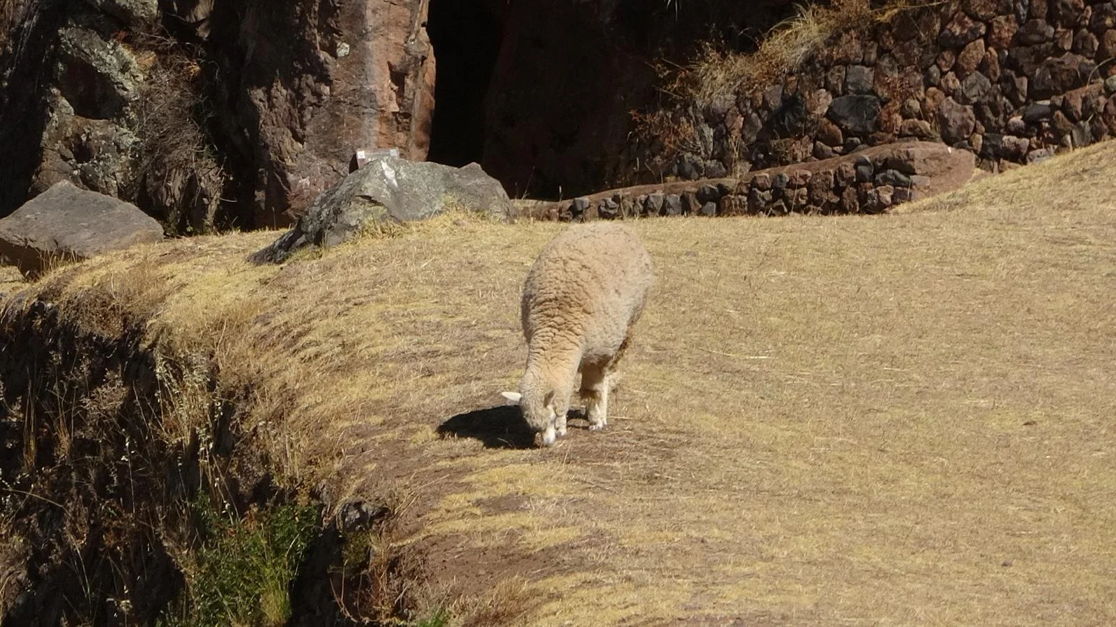 WhatsApp Image 2026-02-03 at 11.25.33 (7).jpeg