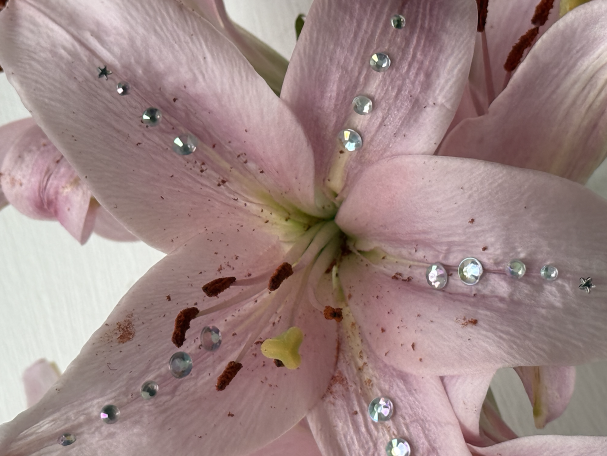 Screenshot 2026-03-30 at 18.27.17.png