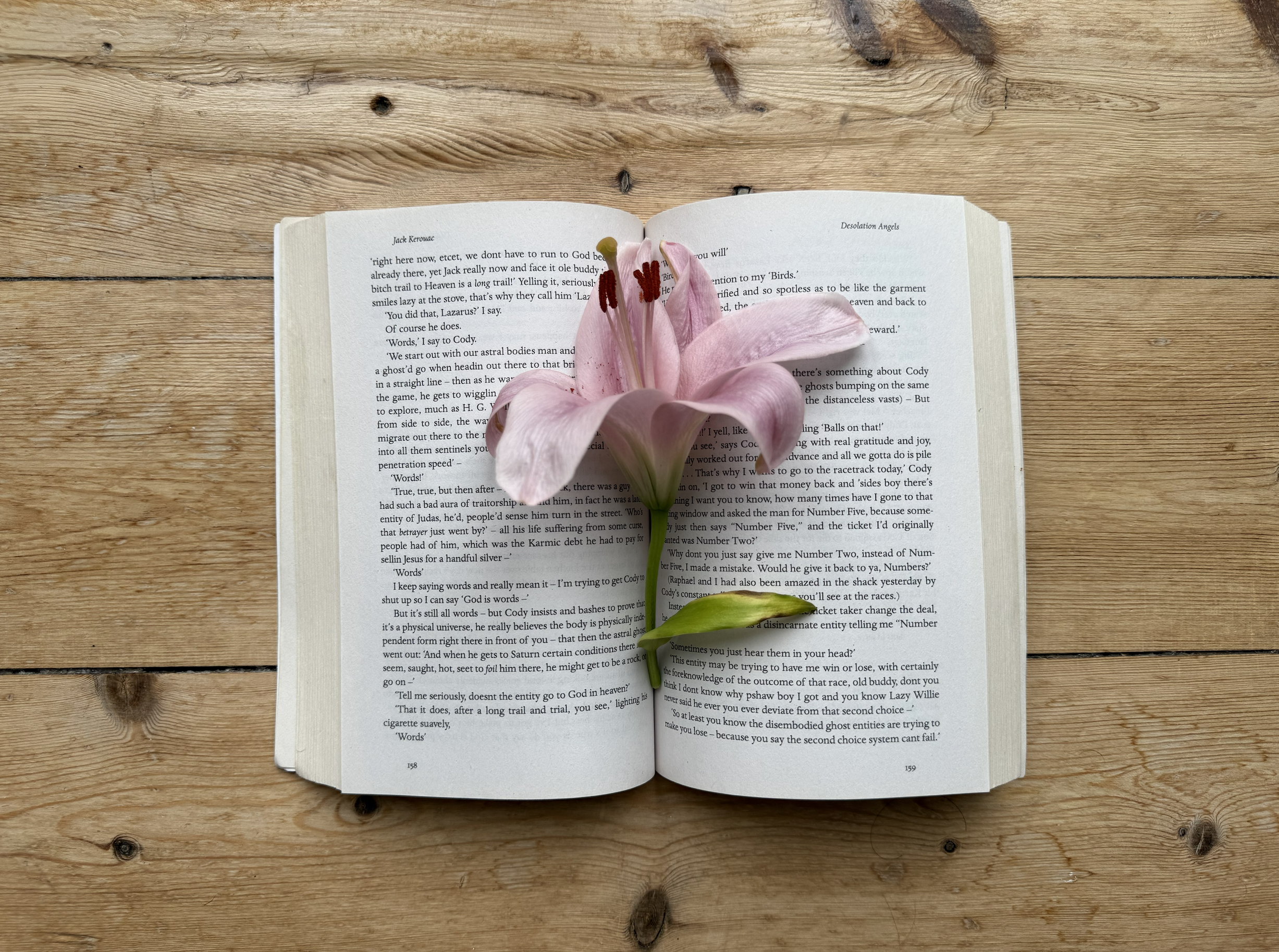 Screenshot 2026-03-30 at 18.27.02.png