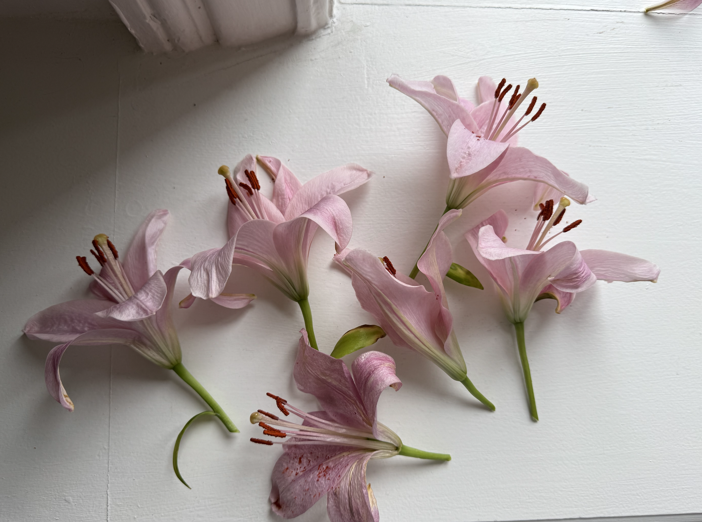 Screenshot 2026-03-30 at 18.26.53.png