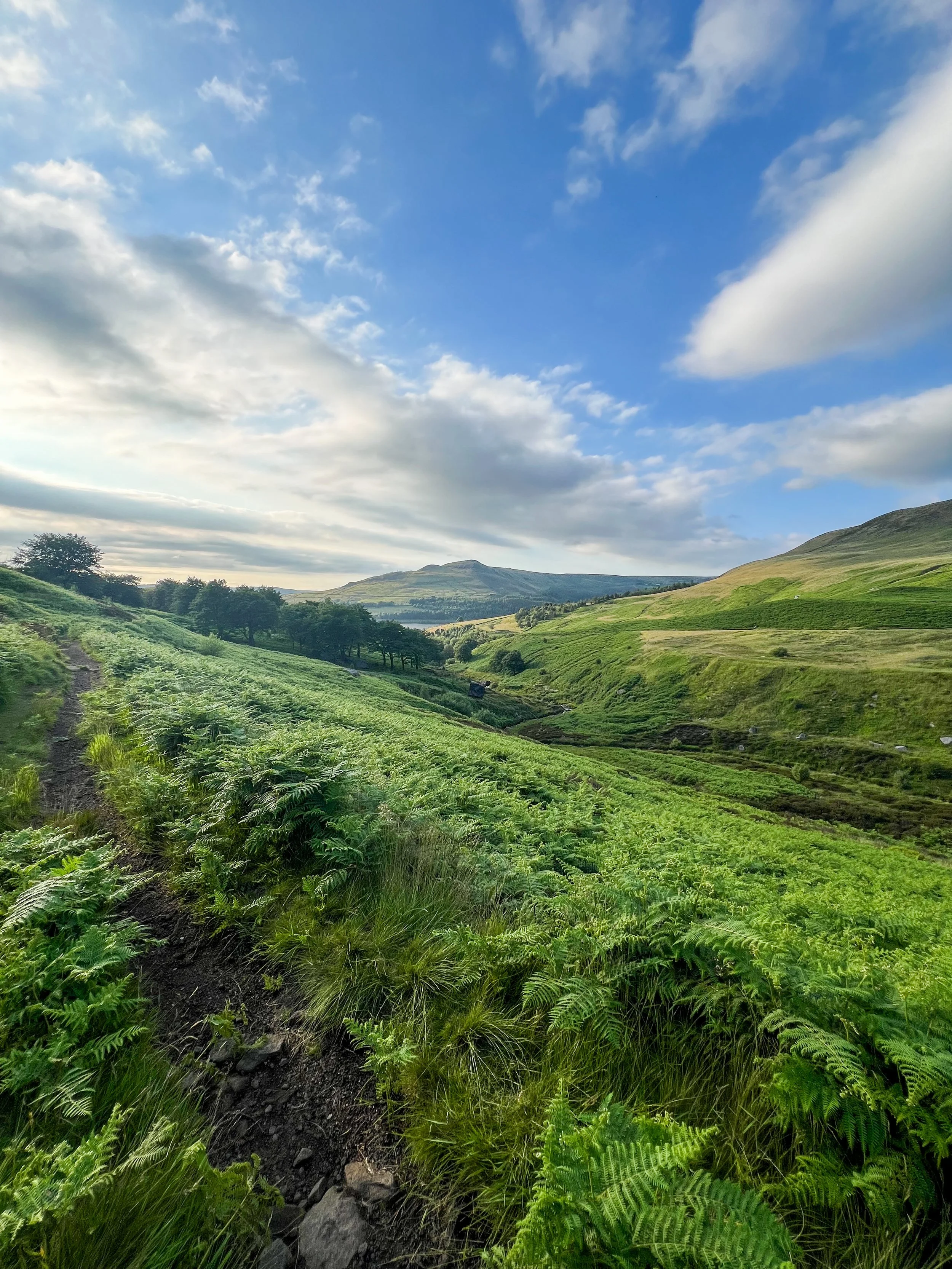 The Perfect Coffee After a Hike: Why It Always Tastes Better Outdoors