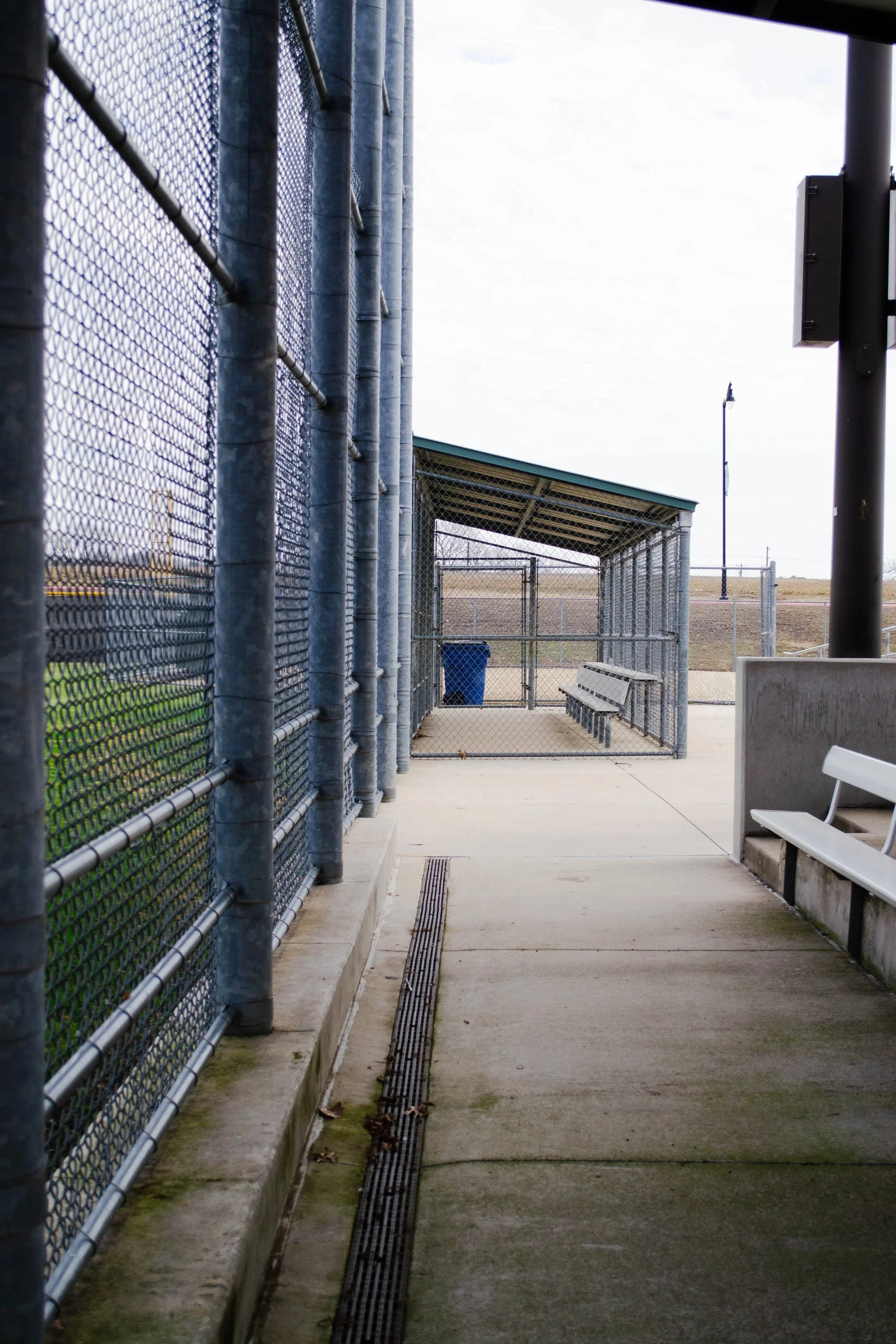 Before the First Strikeout: A Rookie Gear Guide