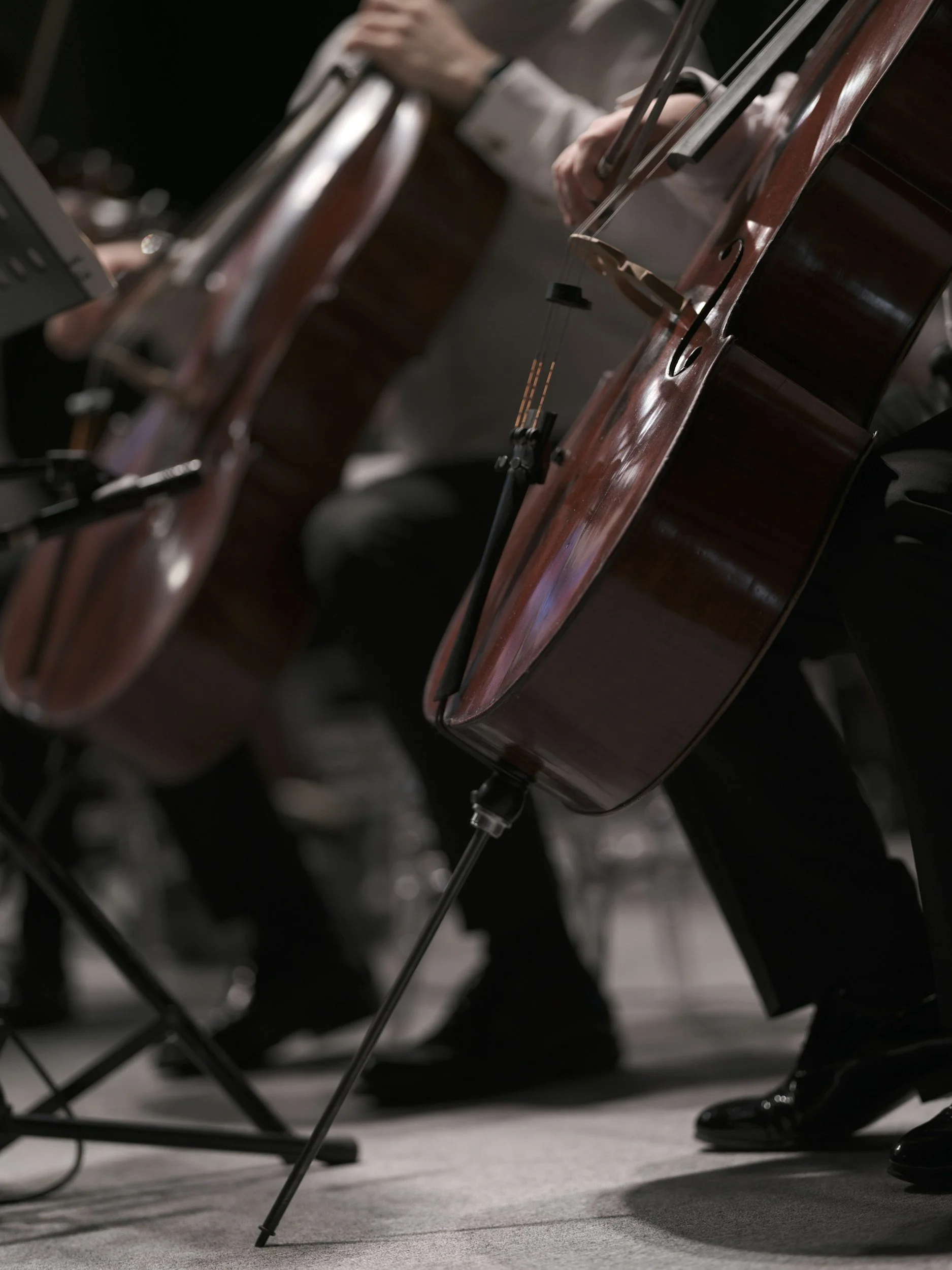 Close-up of a classical guitar, along with other musicians playing similar instruments, during an orchestra performance.