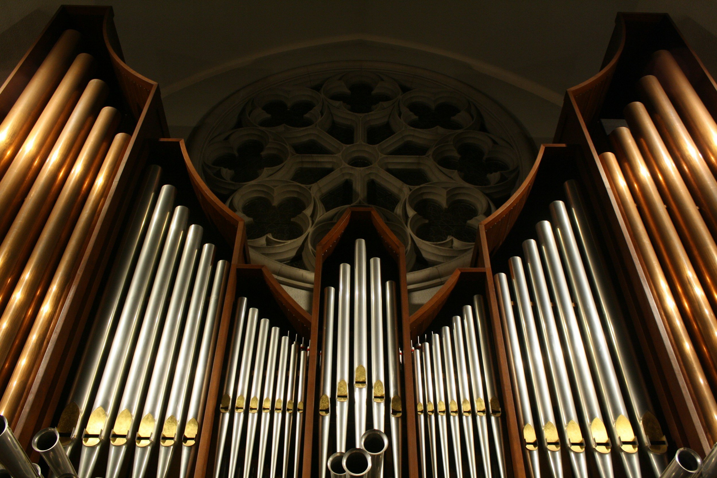 Close-up view of an ornate pipe organ with multiple silver and gold pipes in a church or cathedral.