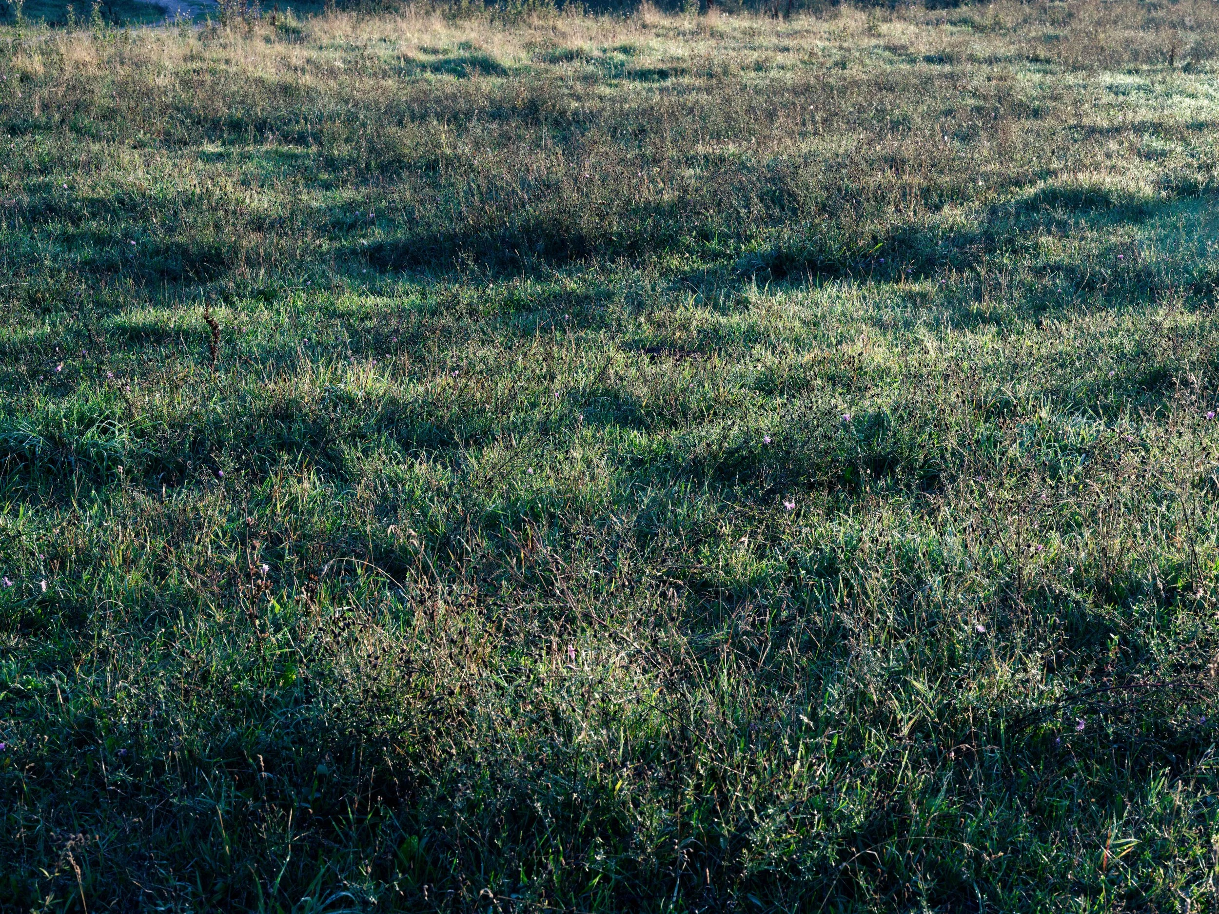 DSCF7435_dxo.jpg