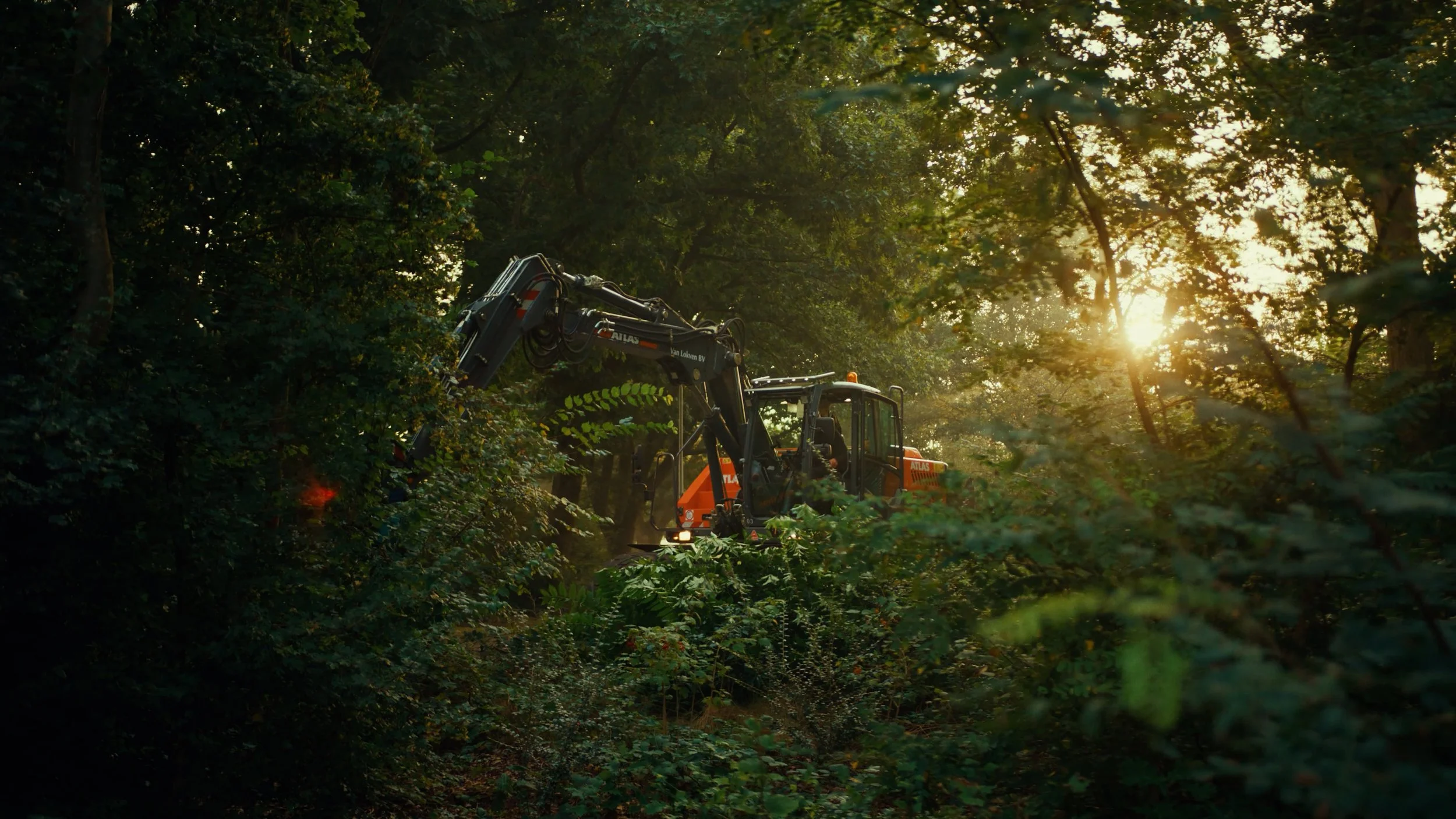 Een graafmachine die plantvakken opruimt in een dicht bos tijdens zonsopkomst