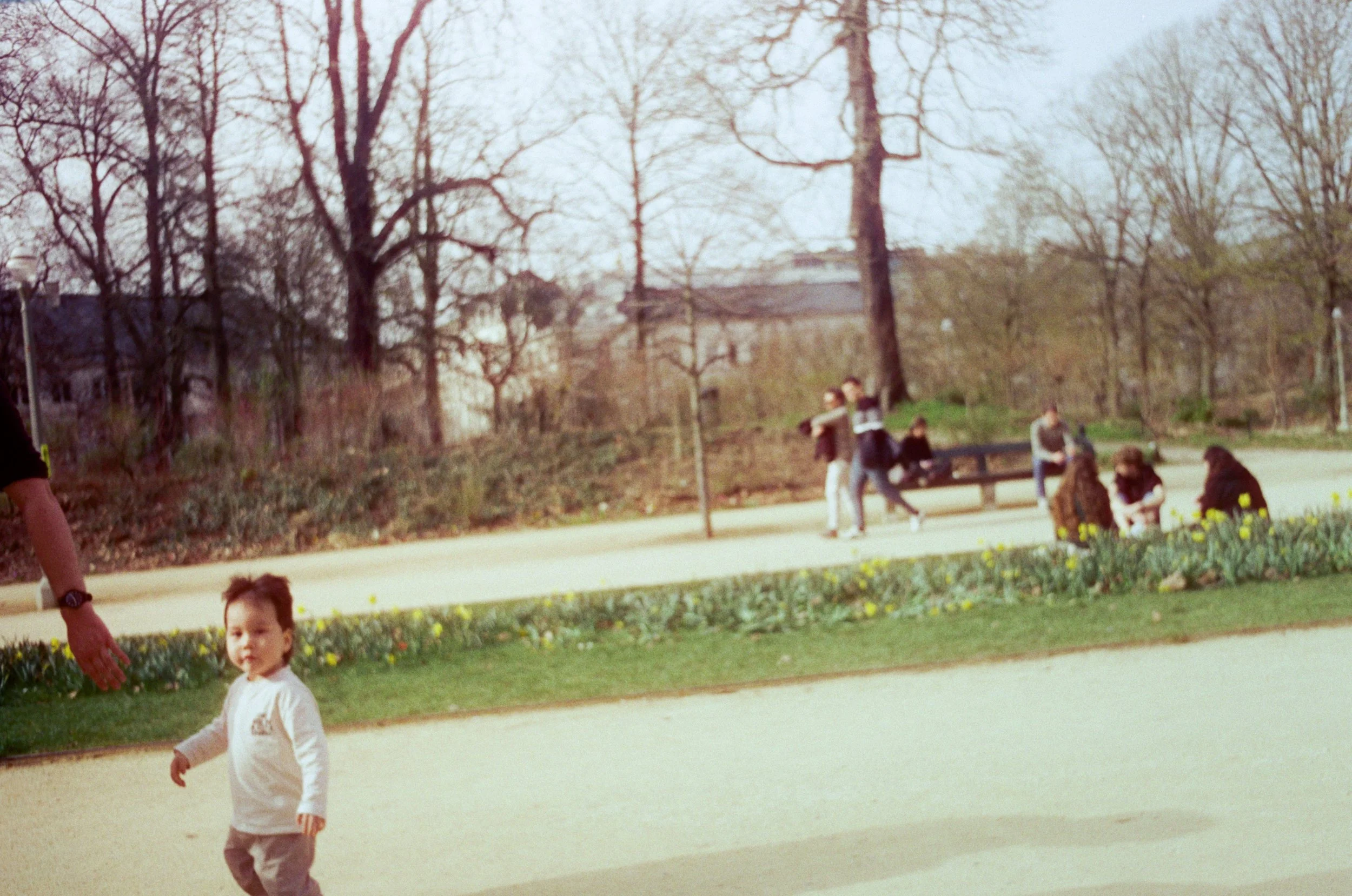 PARC ROYAL 2026